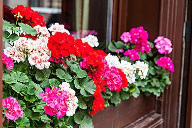 RPG推箱子游戏《我在疗养院送人上西天》Steam页面上线 支持中文